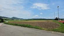A road with some grass and a field of crops with hills in the distance.