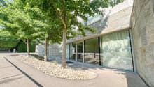 Stone wall, glass windows, trees, paved pathway, stairs, fire hydrant