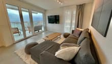 modern living room, grey sofa, wooden coffee table, beige rug, panoramic windows, terrace with chairs and tables