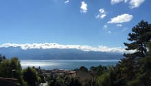 Immagine dell’oggetto
