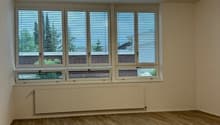 Empty room with large windows, hardwood-style flooring, and a radiator on the wall.