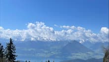 green grass, trees, mountains, lake, house