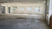empty room, concrete floor, 6 windows, ceiling lamps