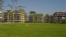 Listing picture