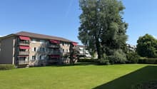 IMG_0945.jpeg