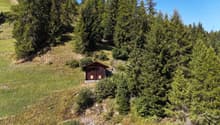 Listing picture