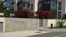 Modern apartment building with glass balconies, concrete wall, black railings, red bushes, and a concrete driveway.