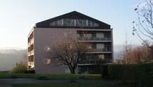 Apartment building, multiple floors, brick walls, black roofing, several balconies, large tree in front, green lawn