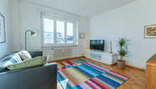 large window, white sofa, white TV unit, floor lamp, carpet, TV, plant