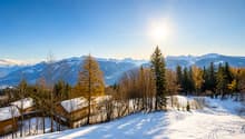 Immagine dell’oggetto