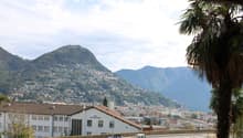 Immagine dell’oggetto