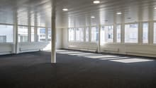 empty room with carpeted floor, white walls, high ceilings, multiple windows