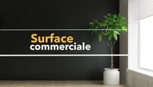 Image de l’objet