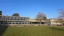 Modern building with glass facade, large windows, wide lawn in front, trees, benches, bicycles parked