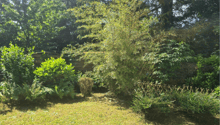 Listing picture