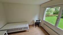 single bed, desk, chair, white walls, wooden floor, large window with outdoor view