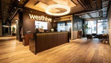 Wooden flooring, large chandelier, glass windows, wooden reception desk, couch, desk, large plant, sign