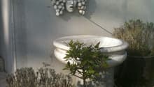 Listing picture