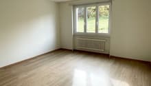 empty room with a window, hardwood floors, white walls, white radiator, bright sunlight coming in from the window