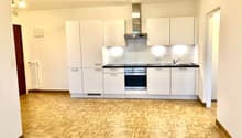 modern kitchen with white cabinets, wooden floor, stainless steel appliances, ceiling lights