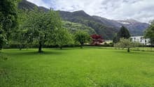 Immagine dell’oggetto