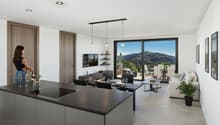 modern kitchen, dining area, large sliding doors, glass wall, balcony, living room with couch, dining table, potted plant, modern art pieces