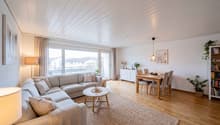 large windows, gray sofa, wooden coffee table, wooden dining table, wooden floor, white walls, ceiling lamp
