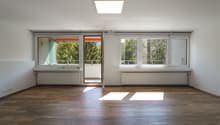 Immagine dell’oggetto