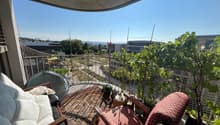 IMG_2842.jpeg