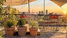 Dachterrasse
