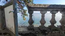 Immagine dell’oggetto