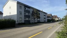 IMG_1590.jpeg