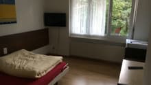 single bed, TV, window with curtains, wooden floor, wall painting, radiator