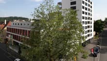 Ansicht