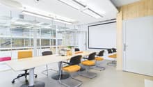 Modern office space with large conference table, swivel chairs, projector screen, and glass walls providing natural light
