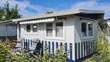 Immagine dell’oggetto