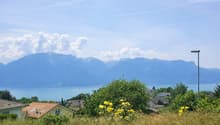 Aussicht / Vue / View / Panorama