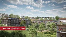 Bilder_Balken_Projektvorstellung.jpg