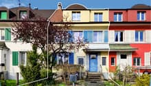 Row of houses, different colors, multiple windows, front yard with plants and trees