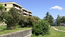 Listing picture