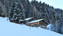 small wooden cottage in the middle of a snowy mountain with pine trees around it