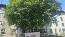 Liegenschaft_Lehenmattstrasse_210.jpg