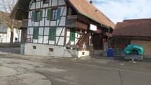IMG-20250125-WA0017