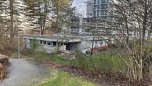 A building with many windows in the background, concrete floor, surrounded by many trees and a pathway