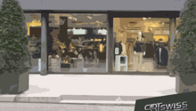 glass shopfront, double door entrance, glass display window, shrubs