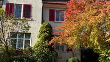 Listing picture