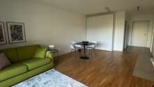 Living room with wooden floor, green couch, round table, white chairs, white walls, ceiling lights, rug, side table, picture frames