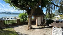 Patio with a view of the lake, a small cabin with a fence, and a tree in the middle.