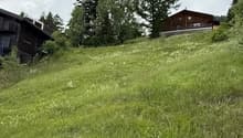 Image-1