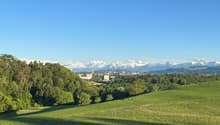 Immagine dell’oggetto
